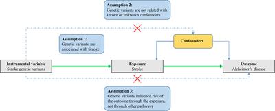 Stroke and Alzheimer’s Disease: A Mendelian Randomization Study